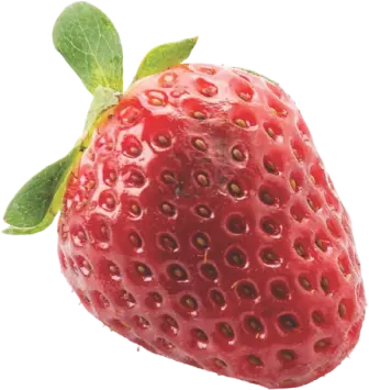 Divulgação morango